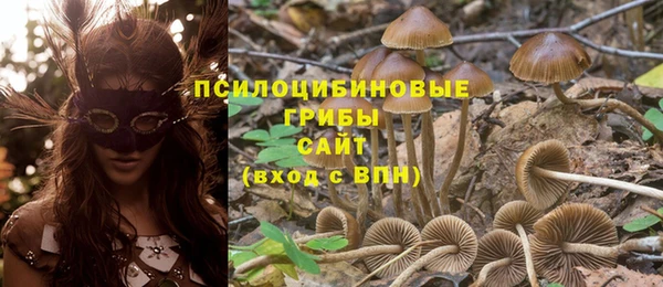 кокаин премиум Дмитриев