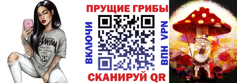 ссылка на мегу рабочий сайт Мурино Псилоцибиновые грибы Psilocybine cubensis